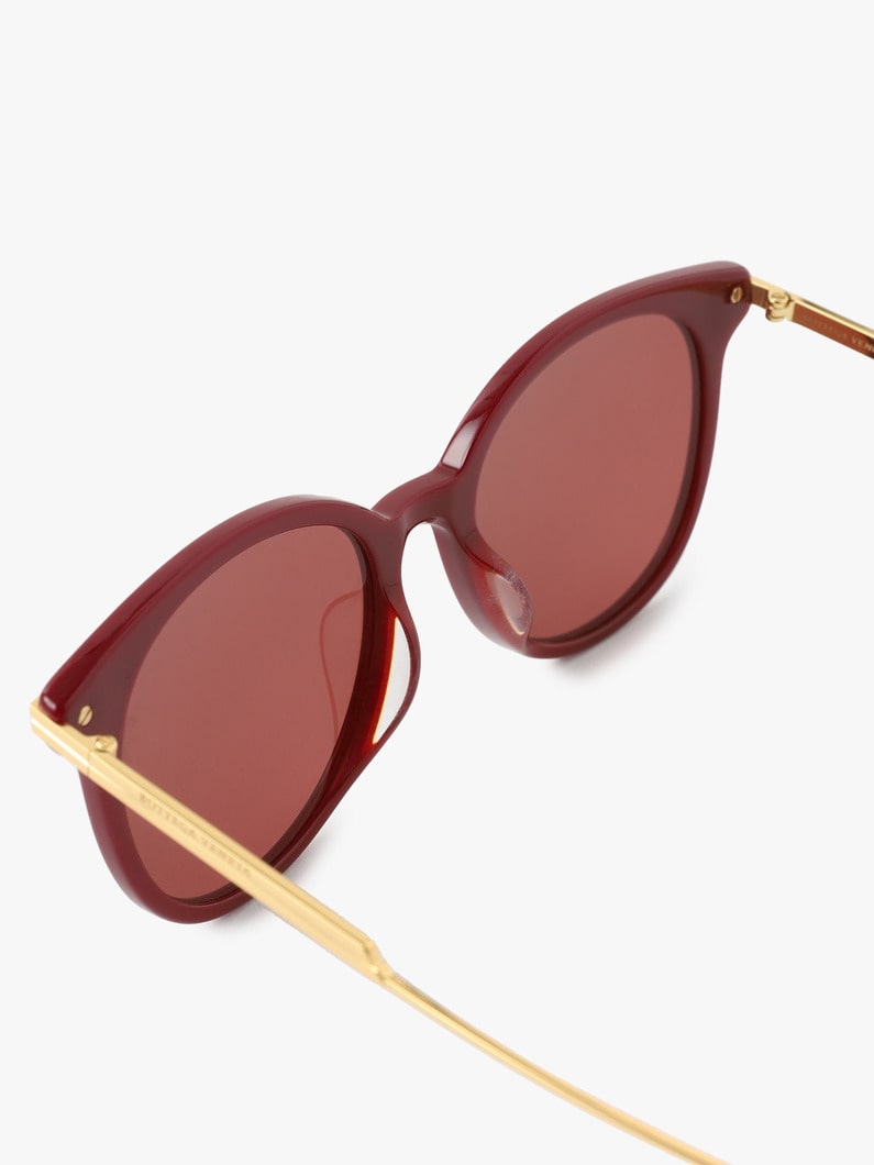 Sunglasses (BV1038SA) 詳細画像 brown 2