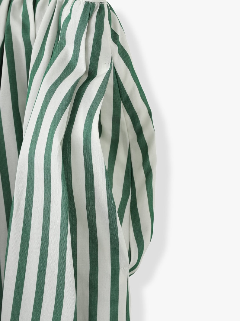 Silk Cotton Striped Flare Skirt 詳細画像 green 6