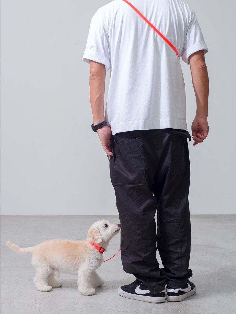 Dog Hands Free＆Convertible Sports Leash (L) 詳細画像 orange 6