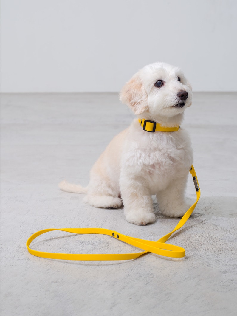 Dog Sports Leash (M) 詳細画像 yellow