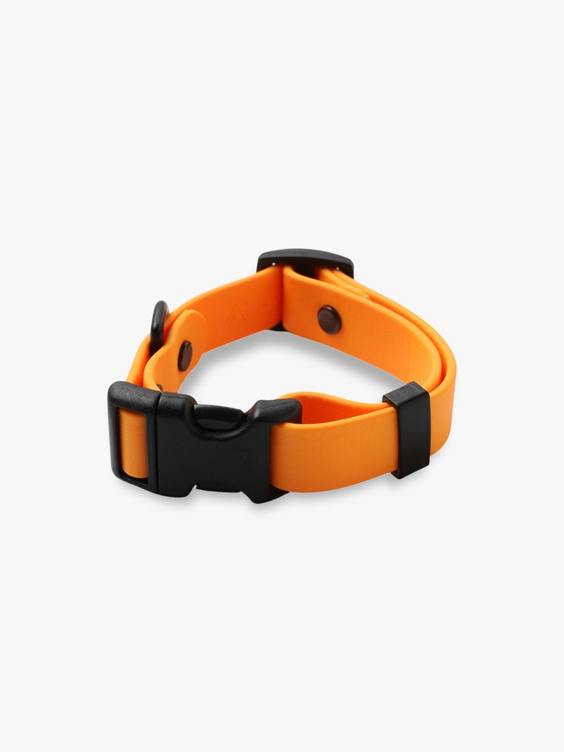 Dog Sports Collar 詳細画像 light orange