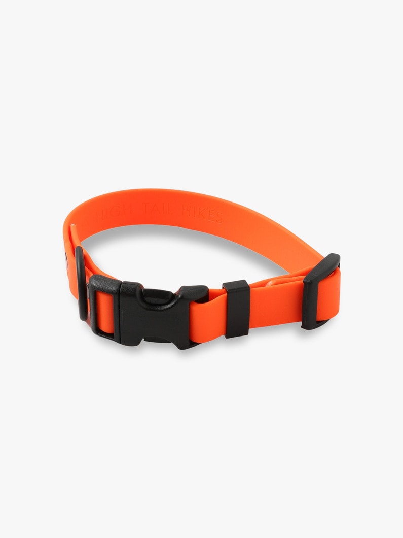 Dog Sports Collar 詳細画像 orange