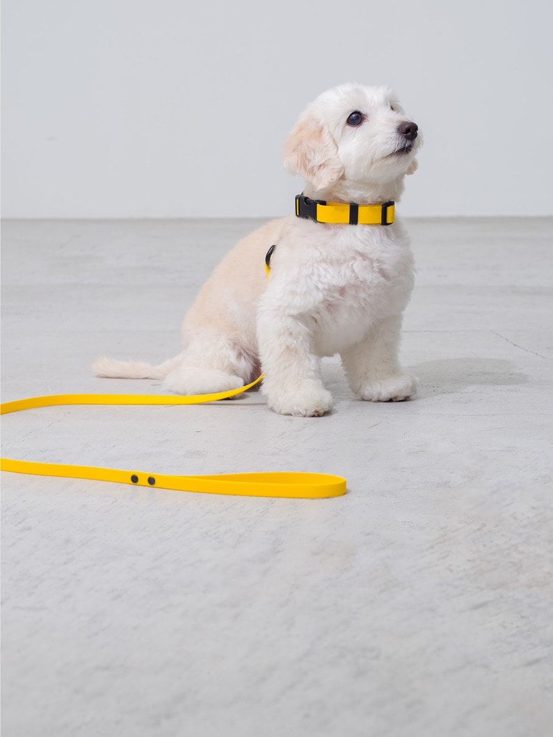 Dog Sports Collar 詳細画像 yellow