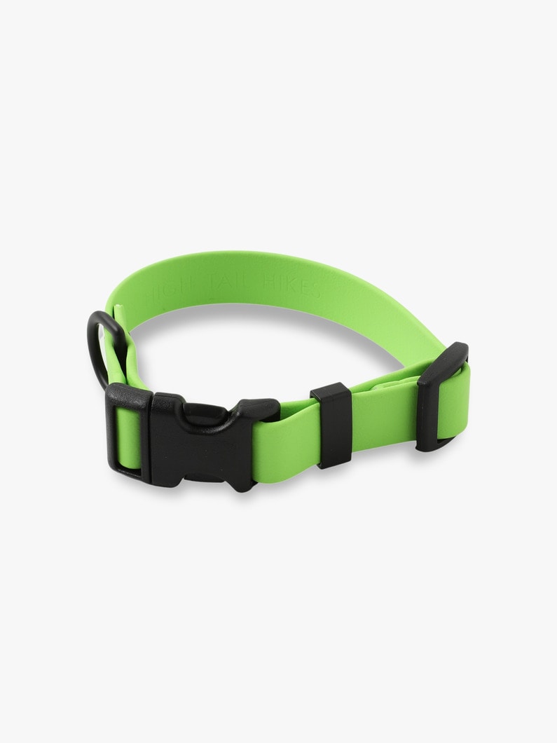 Dog Sports Collar 詳細画像 green