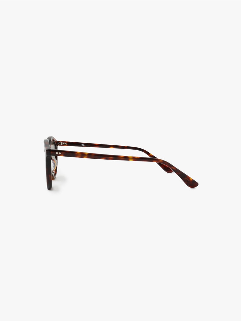 Sunglasses (Type D) 詳細画像 brown 1