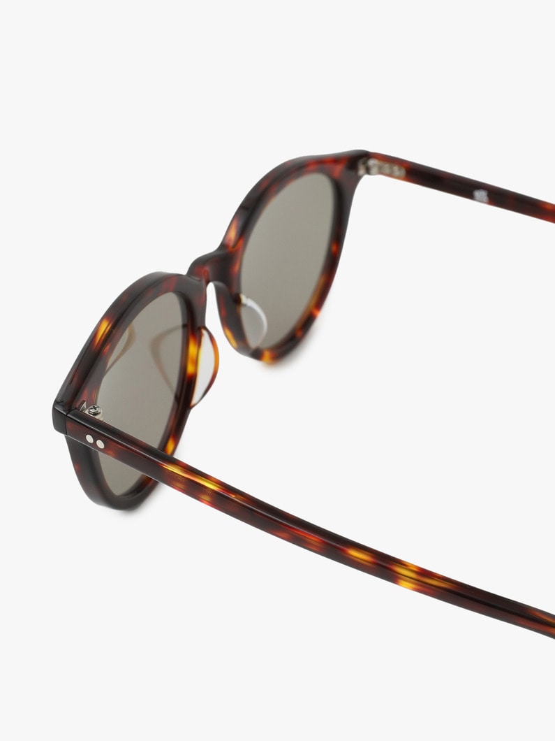 Sunglasses (Type D) 詳細画像 brown 2