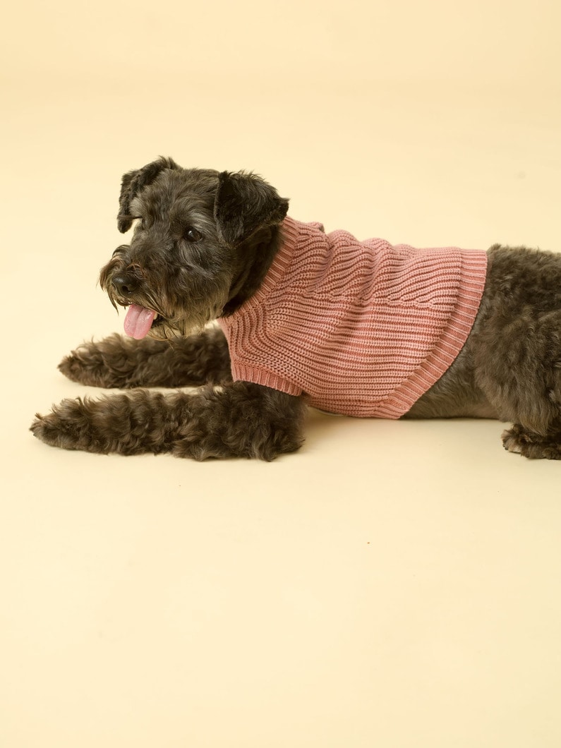 Chelsea Dog Knit 詳細画像 pink 1