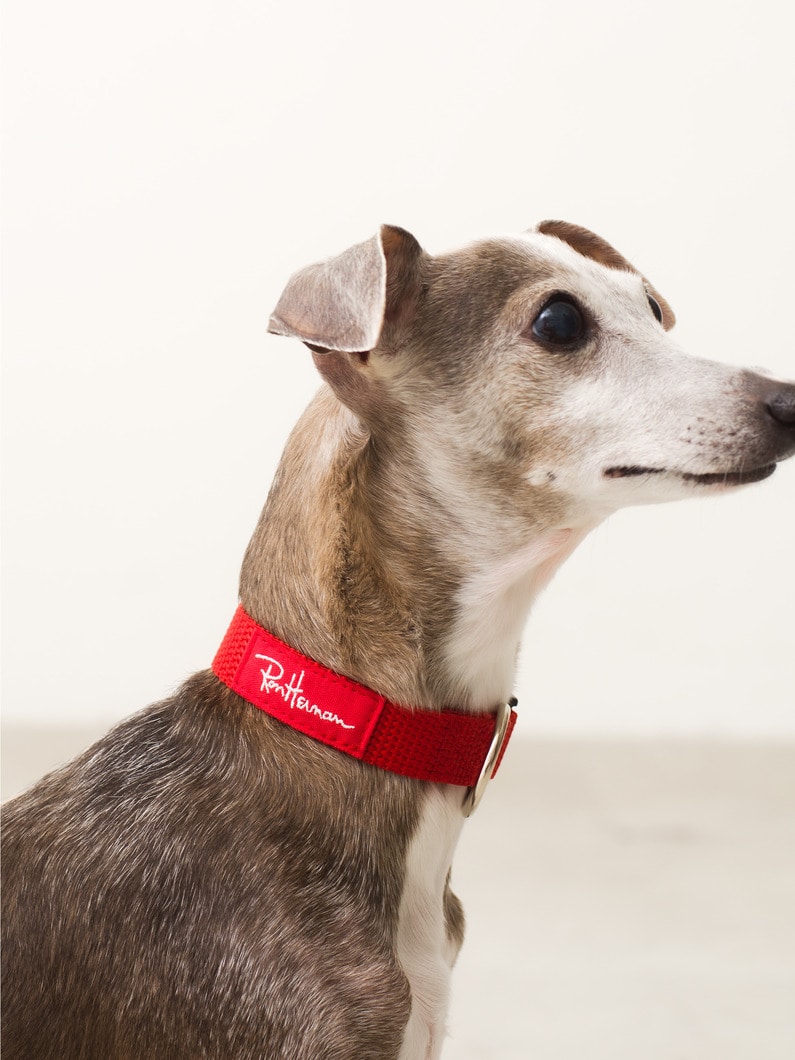 Recycled Tape Dog Collar (S) 詳細画像 red 3
