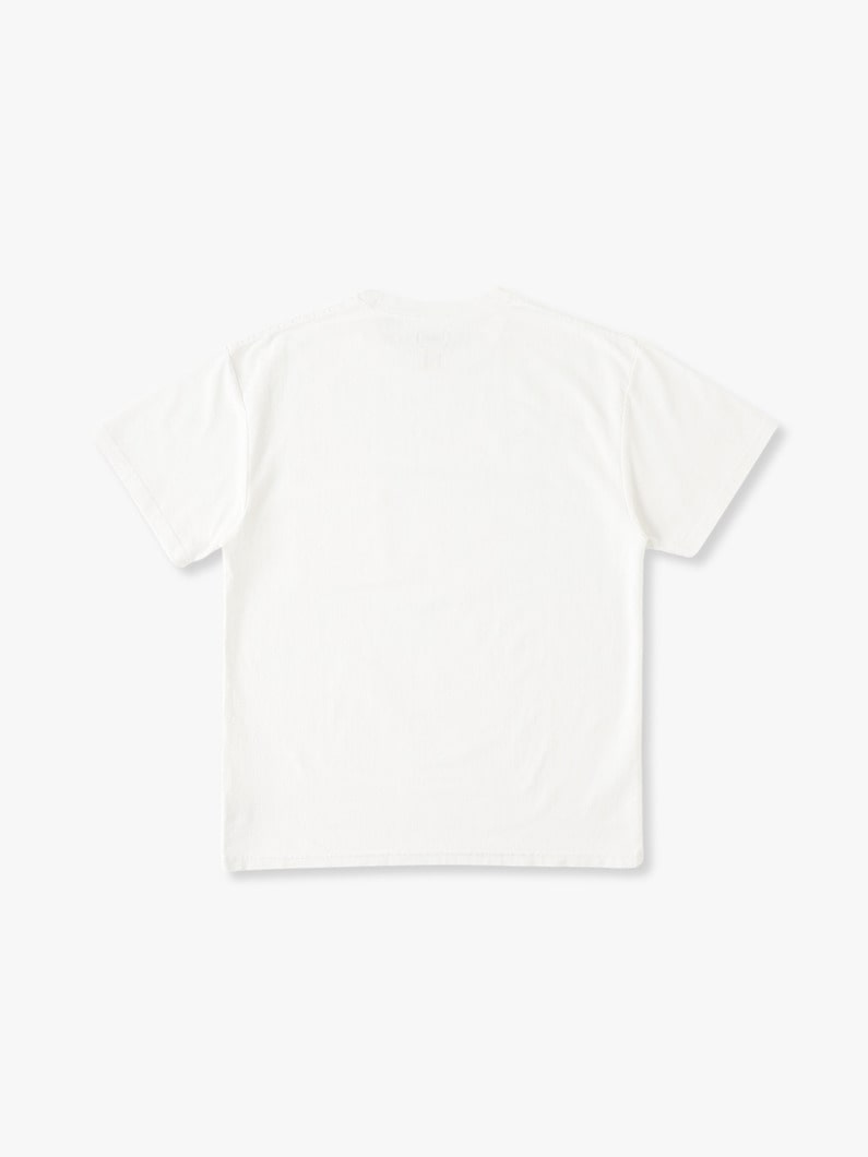 US Organic Cotton Tee 詳細画像 white 1