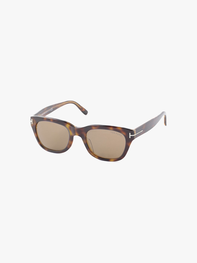 Sunglasses (FT-0237) 詳細画像 brown 1