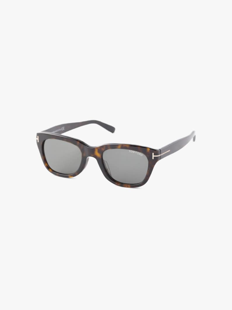 Sunglasses (FT-0237) 詳細画像 brown pattern 1