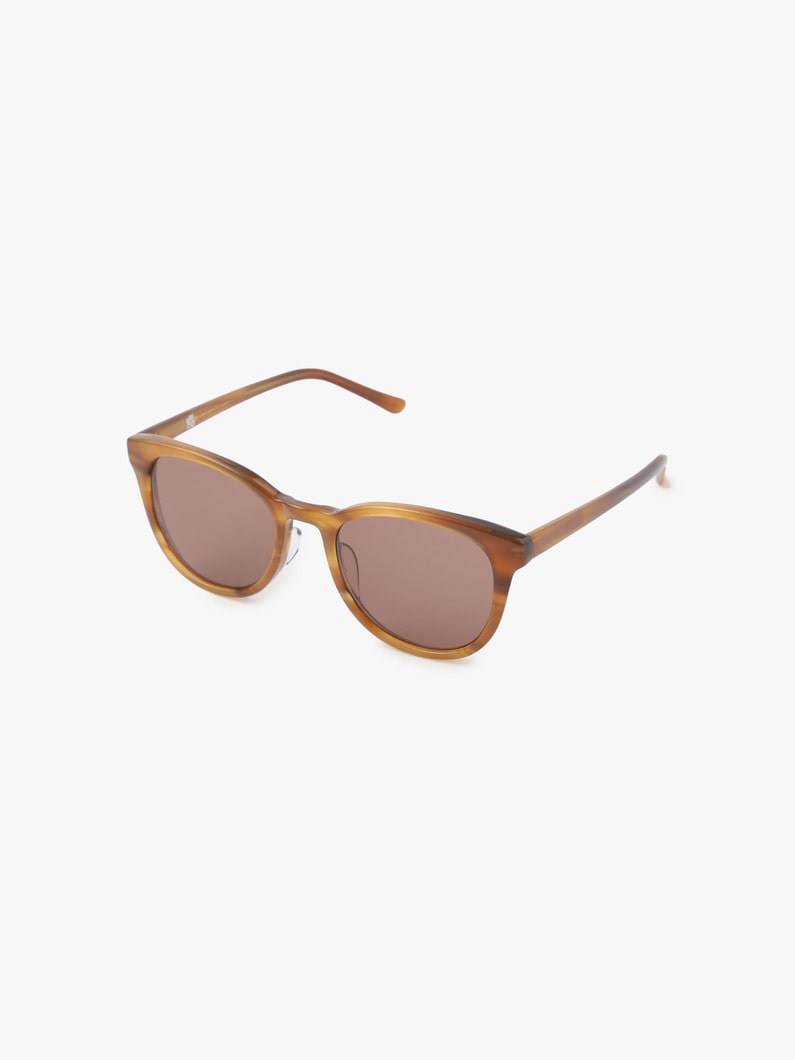 Sunglasses (Type A) 詳細画像 brown 1