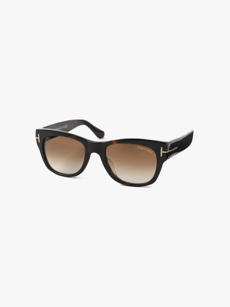 Sunglasses (FT0058-F) 詳細画像 brown 1