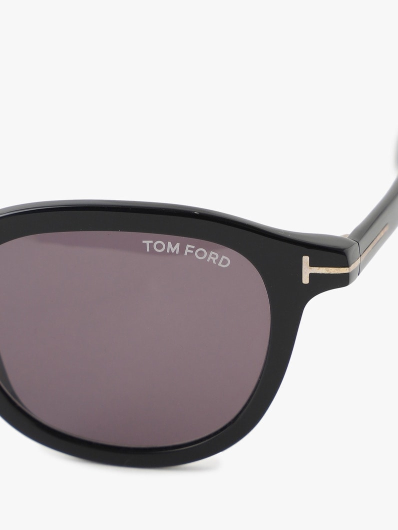 Sunglasses (FT0816) 詳細画像 brown 4