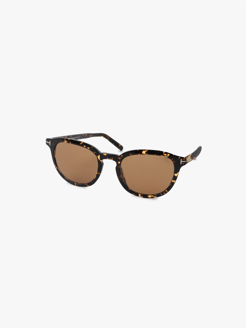 Sunglasses (FT0816) 詳細画像 light brown 1