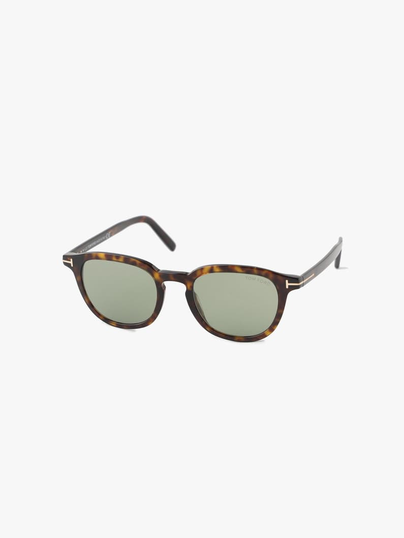 Sunglasses (FT0816) 詳細画像 brown 1