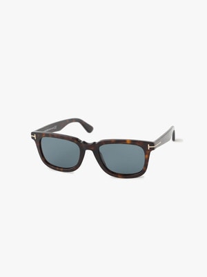 Sunglasses (FT0817) 詳細画像 brown
