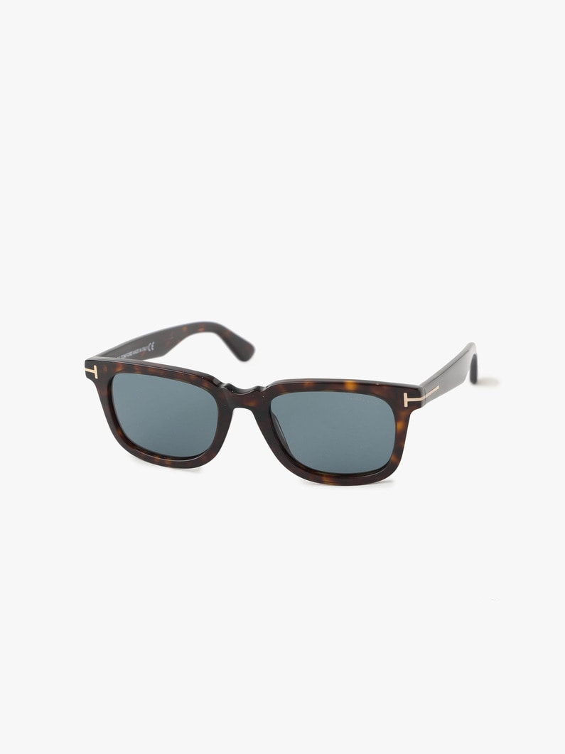 Sunglasses (FT0817) 詳細画像 brown 1