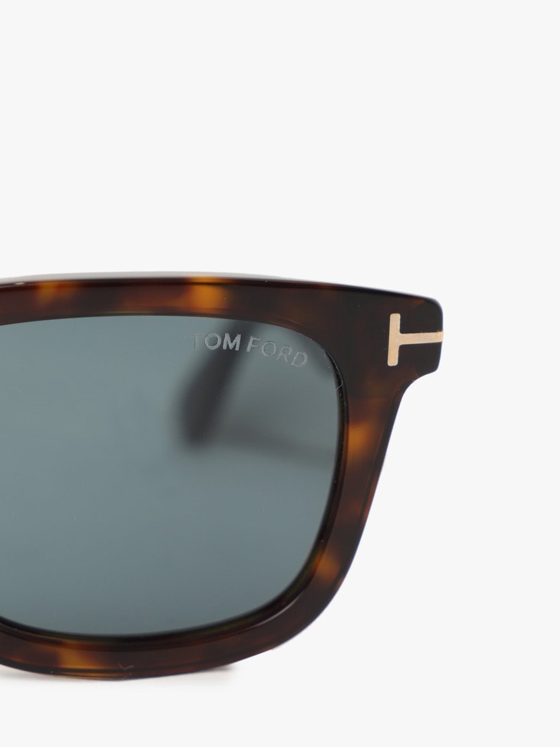 Sunglasses (FT0817) 詳細画像 brown 4