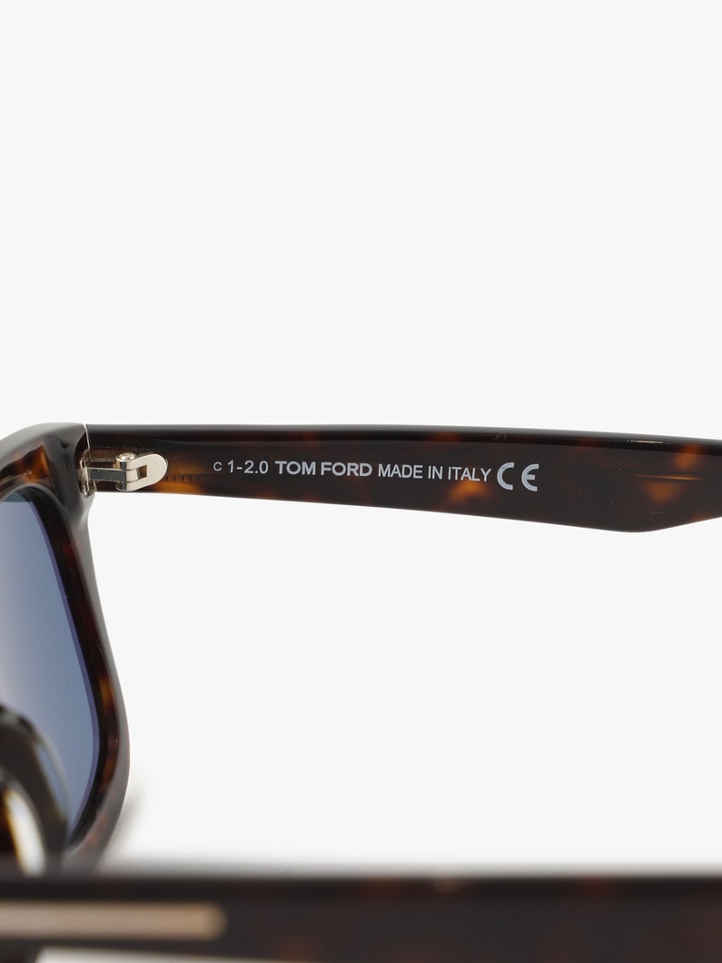 Sunglasses (FT0817) 詳細画像 brown 5