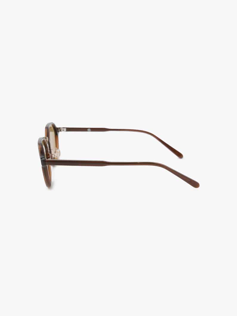 Sunglasses (Type C) 詳細画像 brown 4
