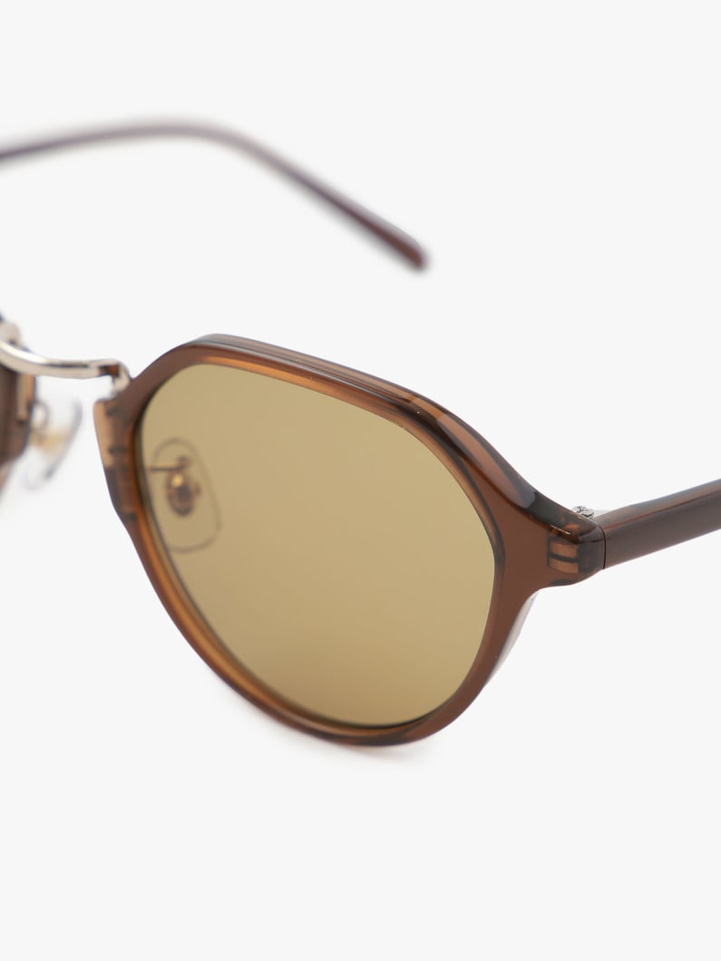 Sunglasses (Type C) 詳細画像 brown 5