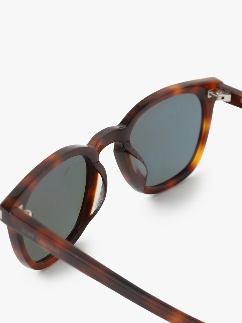 Sunglasses (SL28/F) 詳細画像 brown 2