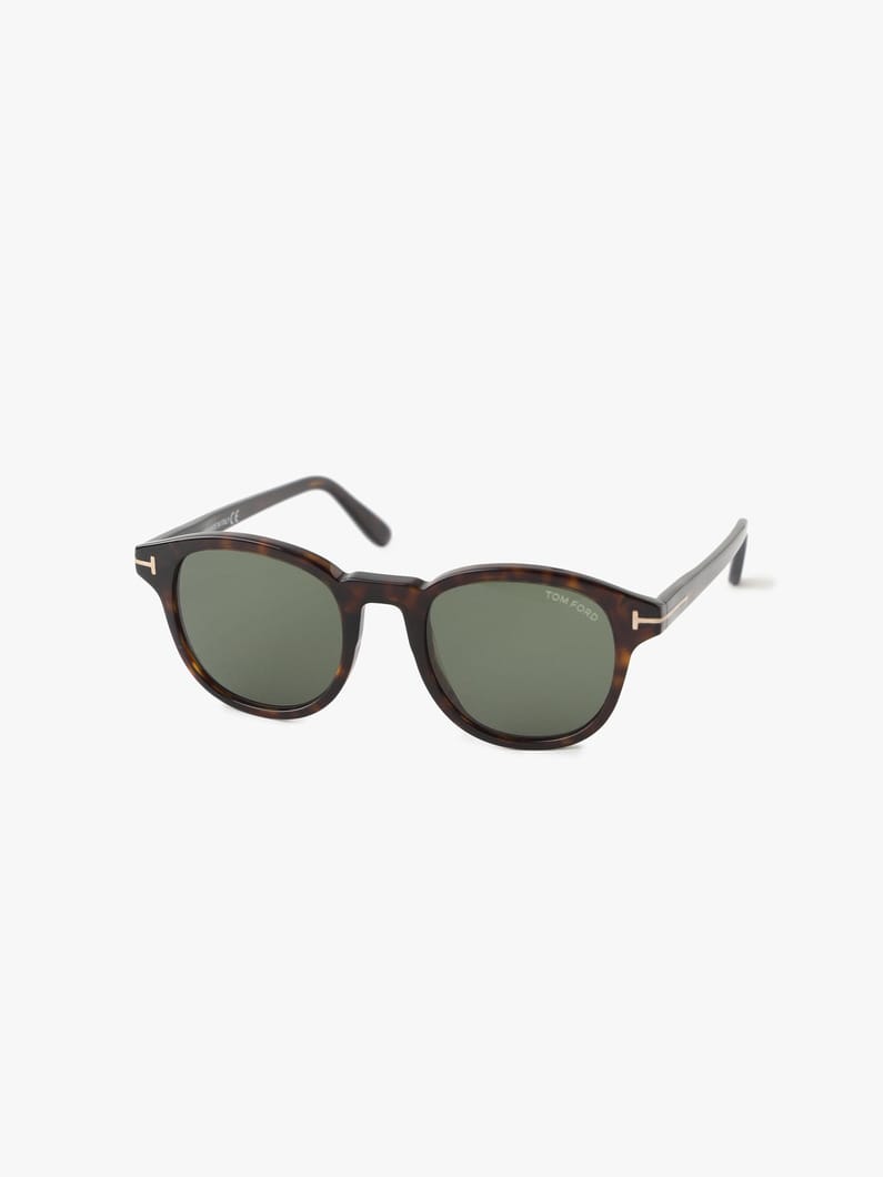 Sunglasses (FT0752) 詳細画像 brown 1