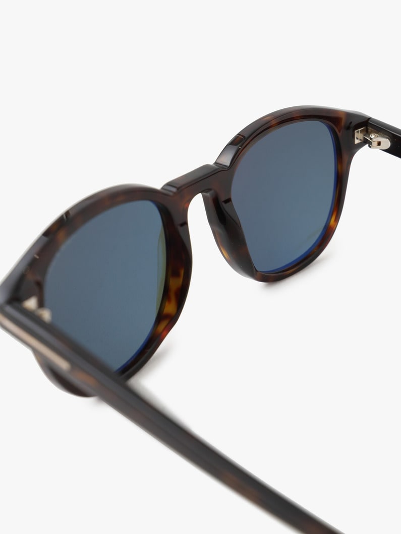 Sunglasses (FT0752) 詳細画像 brown 3