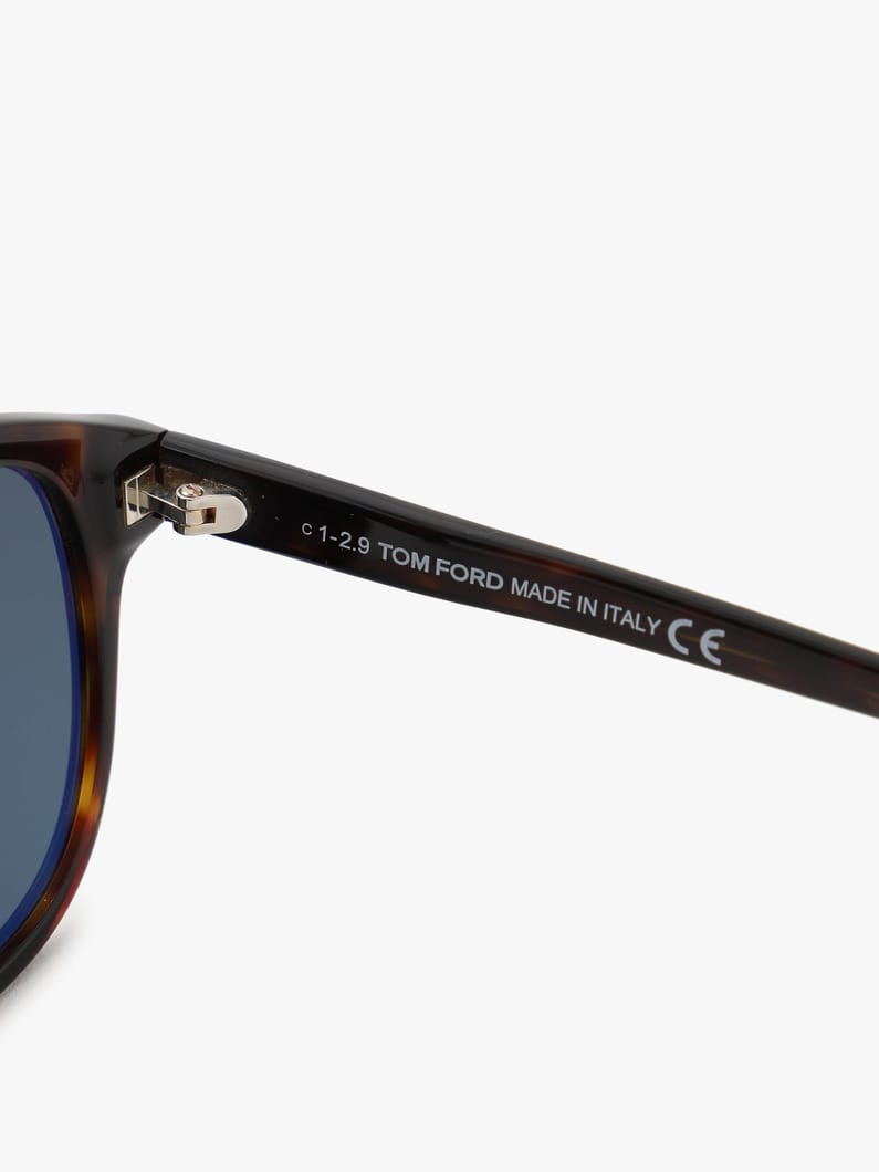 Sunglasses (FT0752) 詳細画像 brown 5