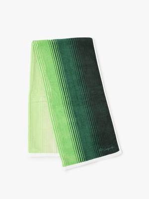 RH Stripe Gradation Bath Towel 詳細画像 green