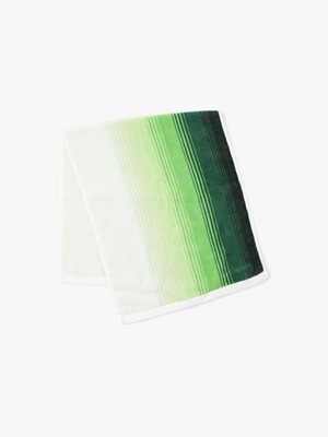 RH Stripe Gradation Face Towel 詳細画像 green