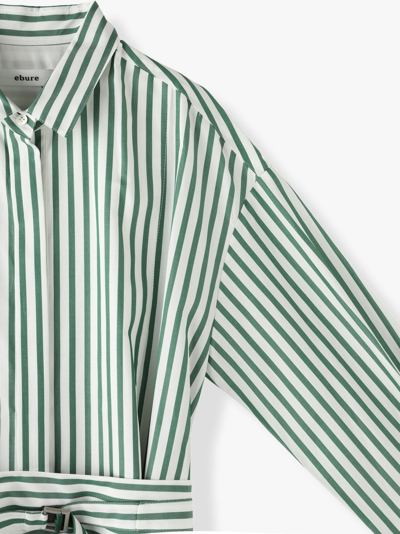 Silk Cotton Striped Shirt Dress 詳細画像 green 5