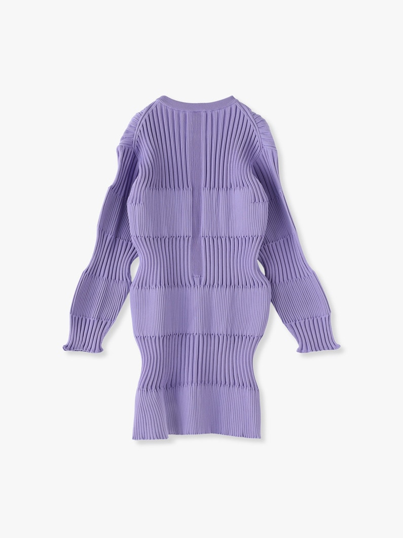 Fluted Long Sleeve Mini Dress 詳細画像 light purple 2