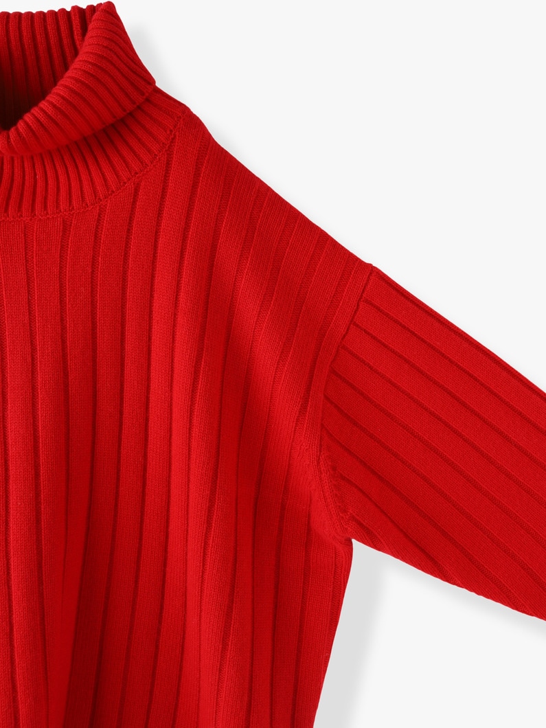 Low Gauge Cashmere Turtle Neck Pullover 詳細画像 red 5