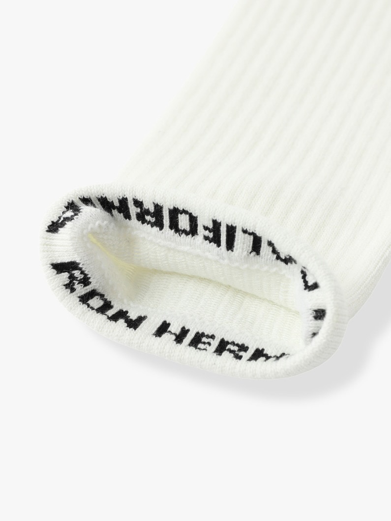 Logo Socks (off white/gray/black) 詳細画像 off white 2