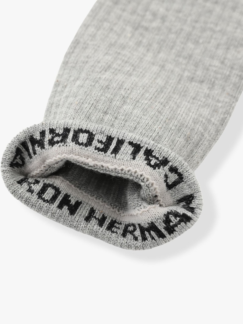 Logo Socks (off white/gray/black) 詳細画像 gray 2