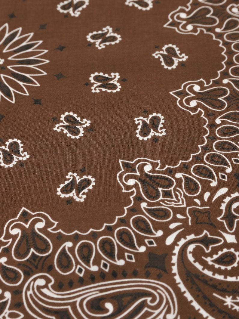 Embroidery Bandana (SHiNE) 詳細画像 brown 2