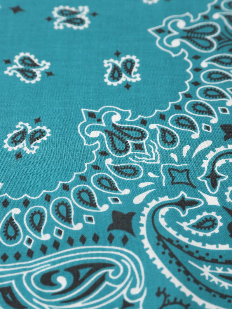 Embroidery Bandana (3145C) 詳細画像 turquoise 2