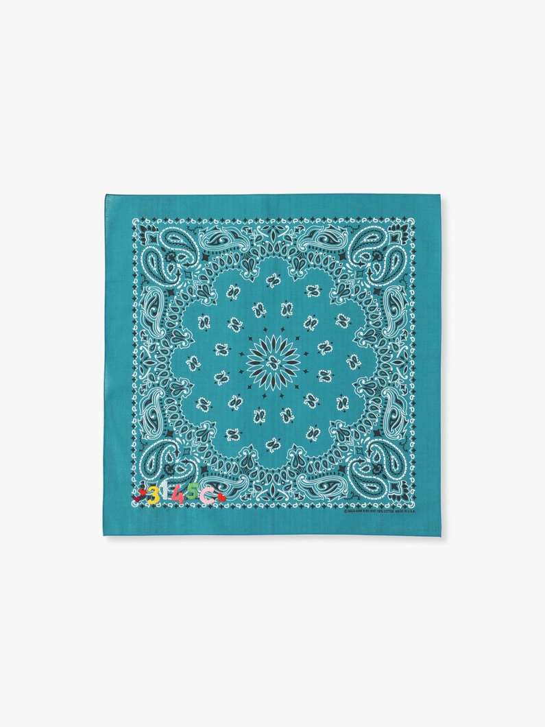 Embroidery Bandana (3145C) 詳細画像 turquoise 1