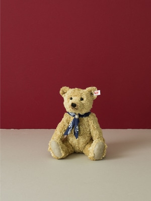 Teddy Bear (Pasco) 詳細画像 A