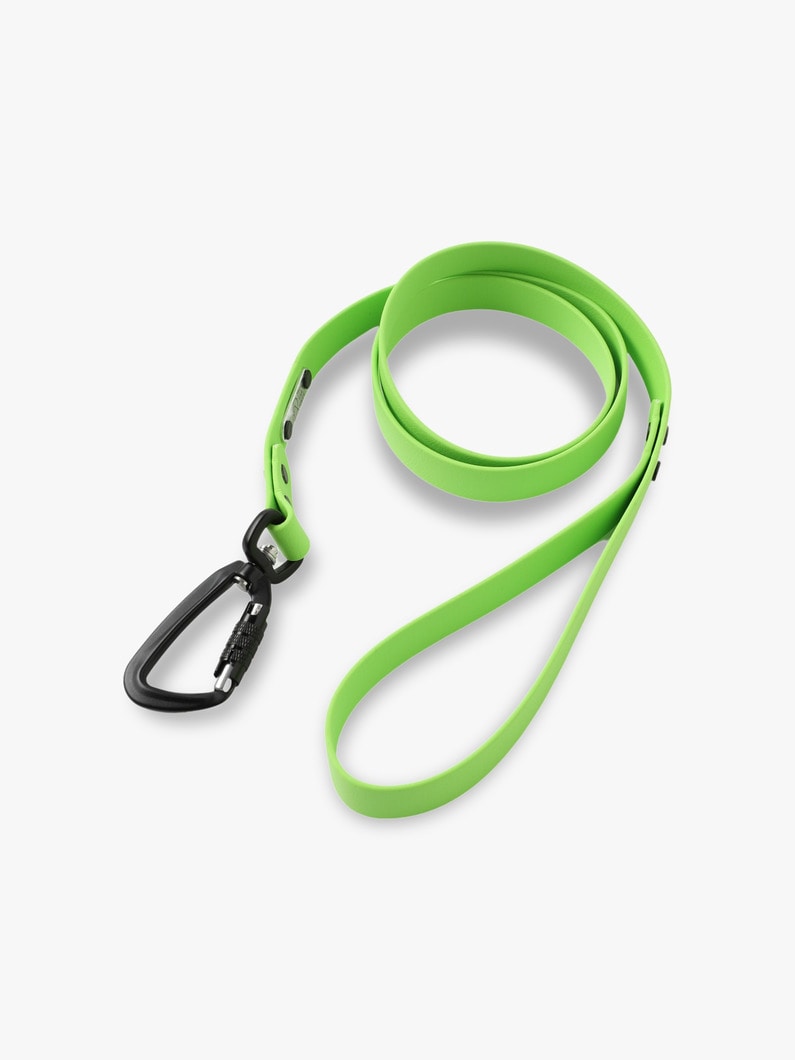Dog Sports Leash (L) 詳細画像 green 1