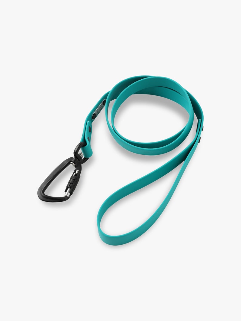 Dog Sports Leash (L) 詳細画像 turquoise