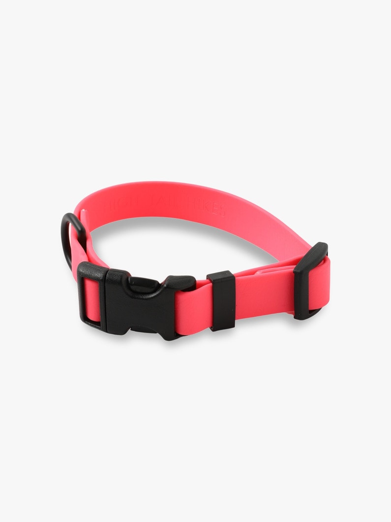Dog Sports Collar 詳細画像 pink 3