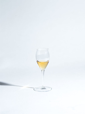 Ballerina Champagne Tulip Glass (C) 詳細画像 other