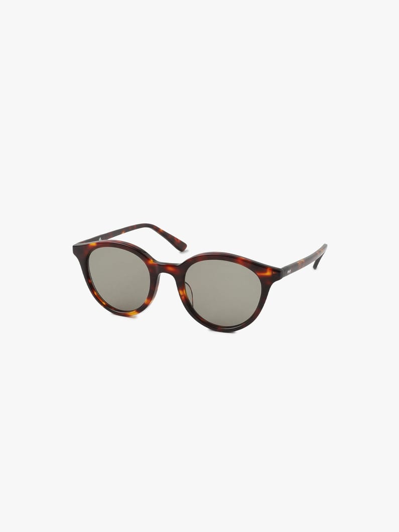 Sunglasses (Type D) 詳細画像 brown 3
