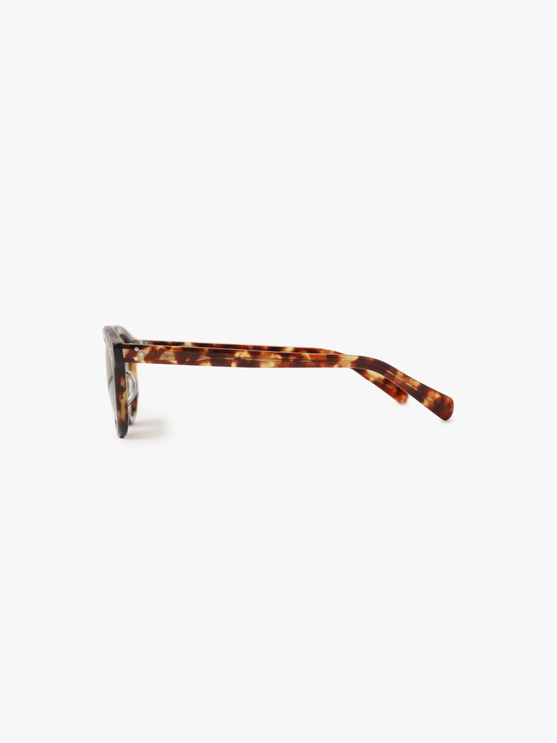 Sunglasses (RH-15 brown) 詳細画像 brown 2