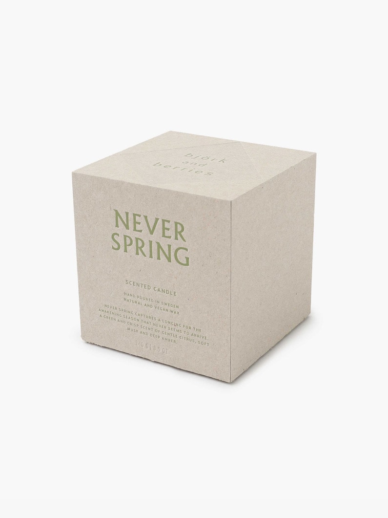 Never Spring Scented Candle  詳細画像 green 6