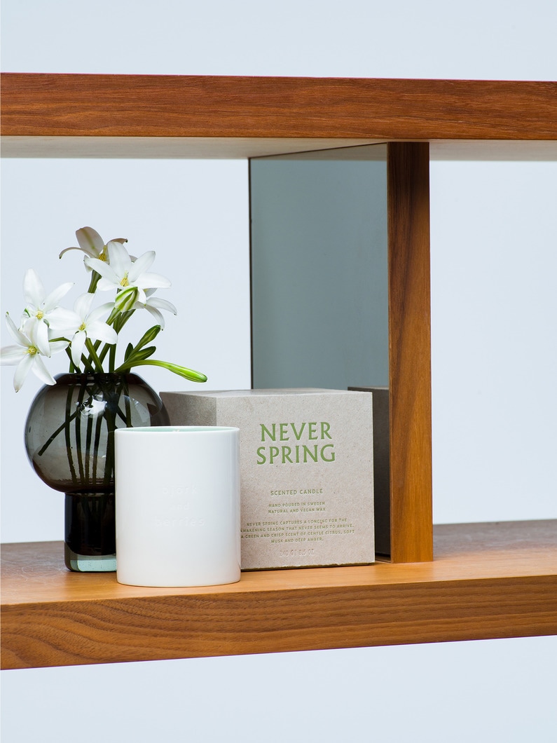 Never Spring Scented Candle  詳細画像 green 1