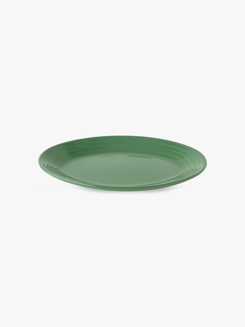 Oval Plate (Small) 詳細画像 dark green
